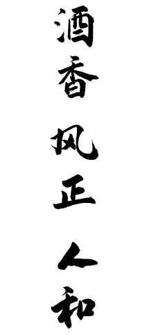 企业风格