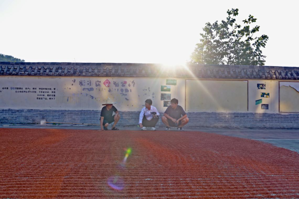 图片14