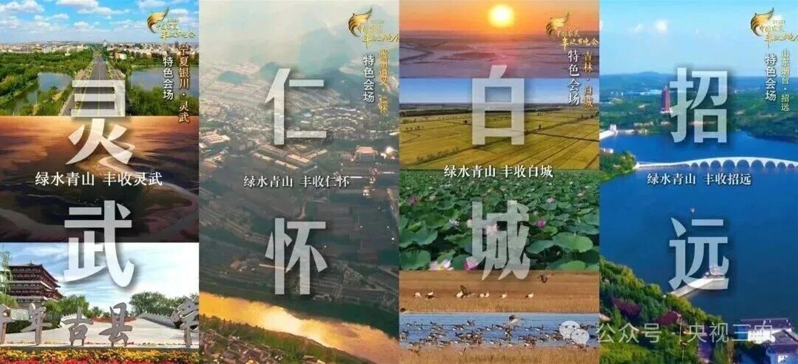 2025总台丰晚正式启动：贵州仁怀——茅台红缨子高粱绘就“奋进红”